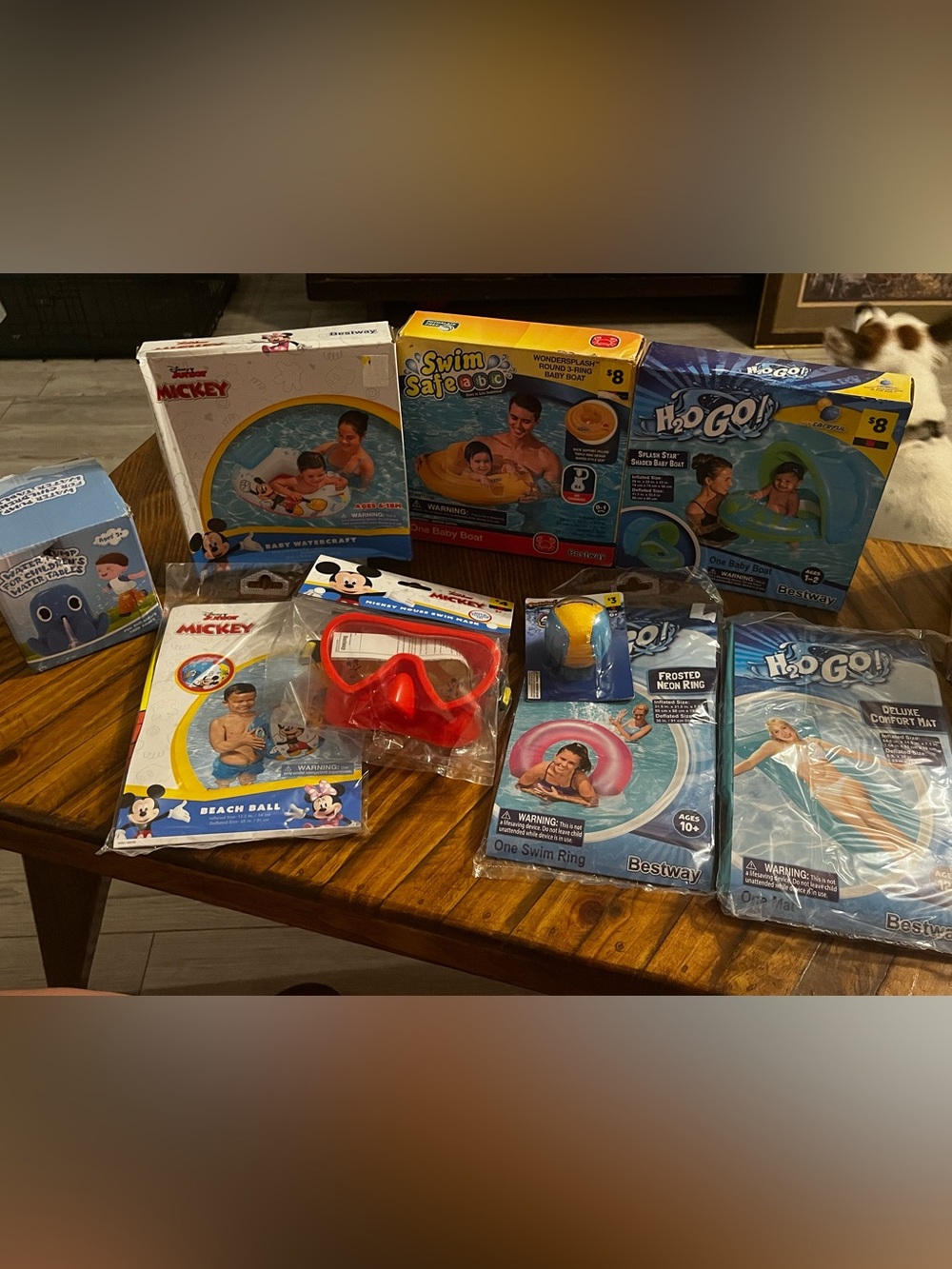 BRAND NEW Pool Bundle - 9 Items - Baby Floats, Mickey, Pool Mat & Toys
